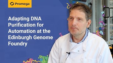 Adapting DNA Purification for Automation | Edinburgh Genome Foundry