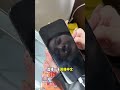 #数码科技 #iphone #我就是个卖手机的 3 #smartphone #通訊軟體 #推薦 #通訊軟體 #推薦 #微软 #微软 #分享 #微控制器 #分享 #微控制器 #流量 #流量 #大熱門