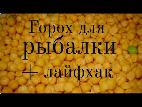 Видео: Как ПРАВИЛЬНО приготовить ГОРОХ для рыбалки? Раскрывают СЕКРЕТ! Убойная прикормка!