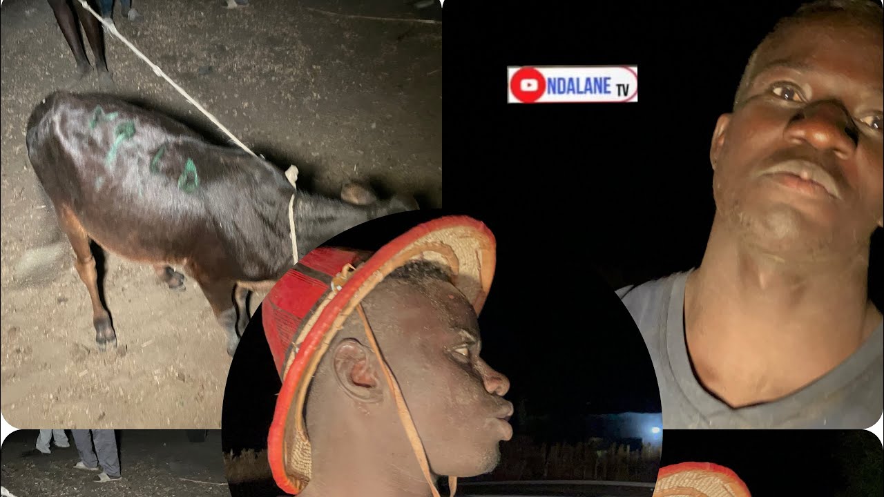 Interview des lutteur lamb Khalambas le 08 février 2026 