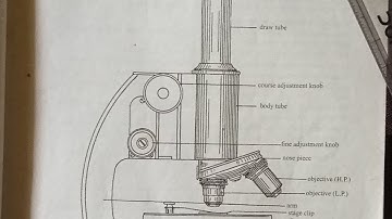 simple drawing of compound microscope || how to draw compound microscope ||
