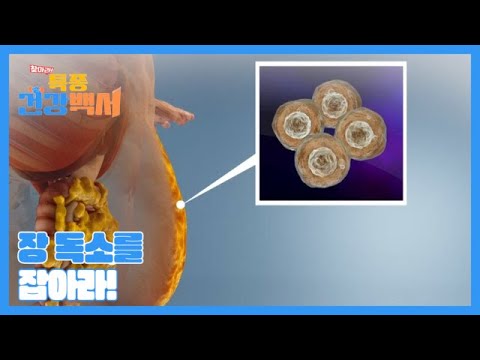 찾아라 특종 건강백서 28회 ＜병든 살의 <strong>원인</strong>! 장 독소를 잡아라!＞ 미리보기 <strong>MBN</strong> 230910 방송