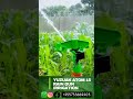 sprinkler irrigation, yuzuak ATOM 15 Rain gun #tanzania #irrigation #tanzania#agriculture#tast#tasty