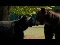 „Kinderprogramm777 – Lustige &amp; lehrreiche Videos für Kinder!“