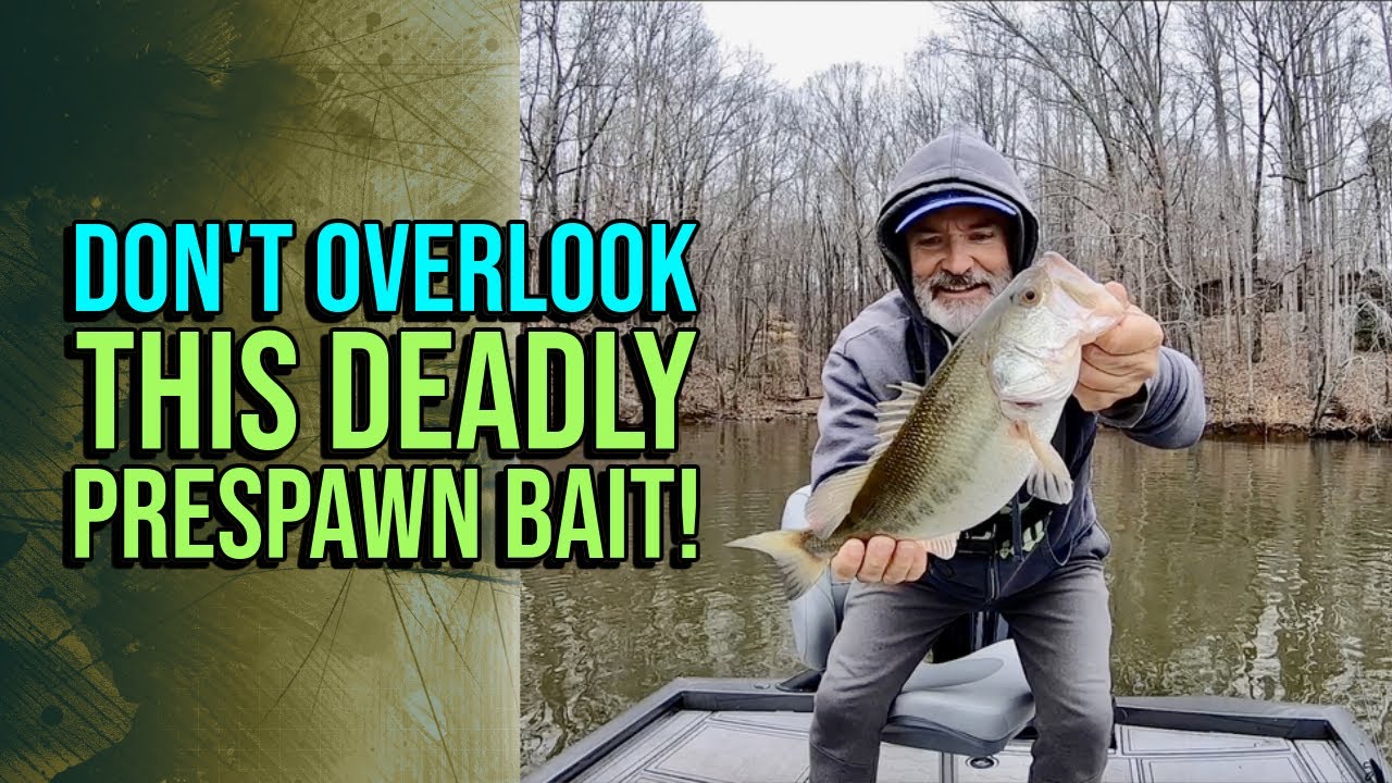 Don’t Overlook This Deadly Pre Spawn Bait! #lakelanierfishing2024  #bassfishing