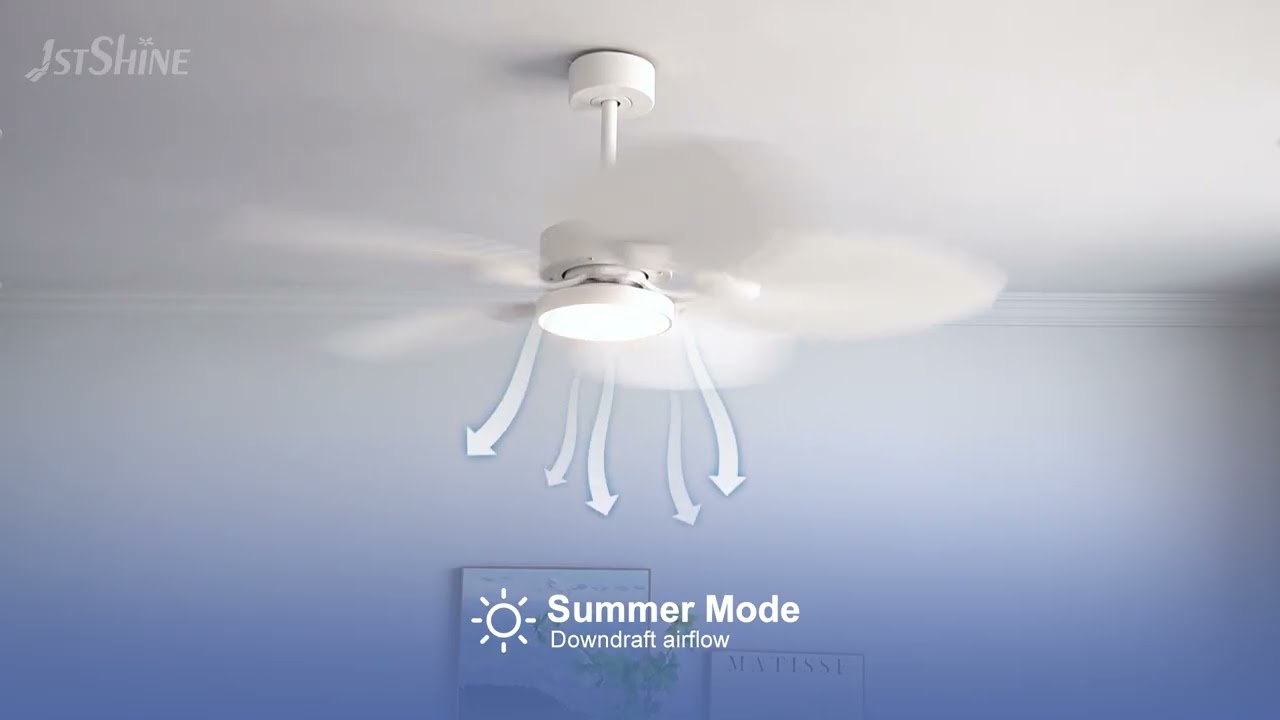 52” Decorative Tropical Ceiling Fan With Light ABS balde quiet dc motor