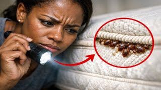 Running Out of Options for Bed Bugs? Try This
