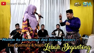 Download Lagu Malam ku bermimpi \u0026 Burung kenari Cover Eva \u0026 Najib lebah begantong MP3