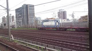MVI 2142