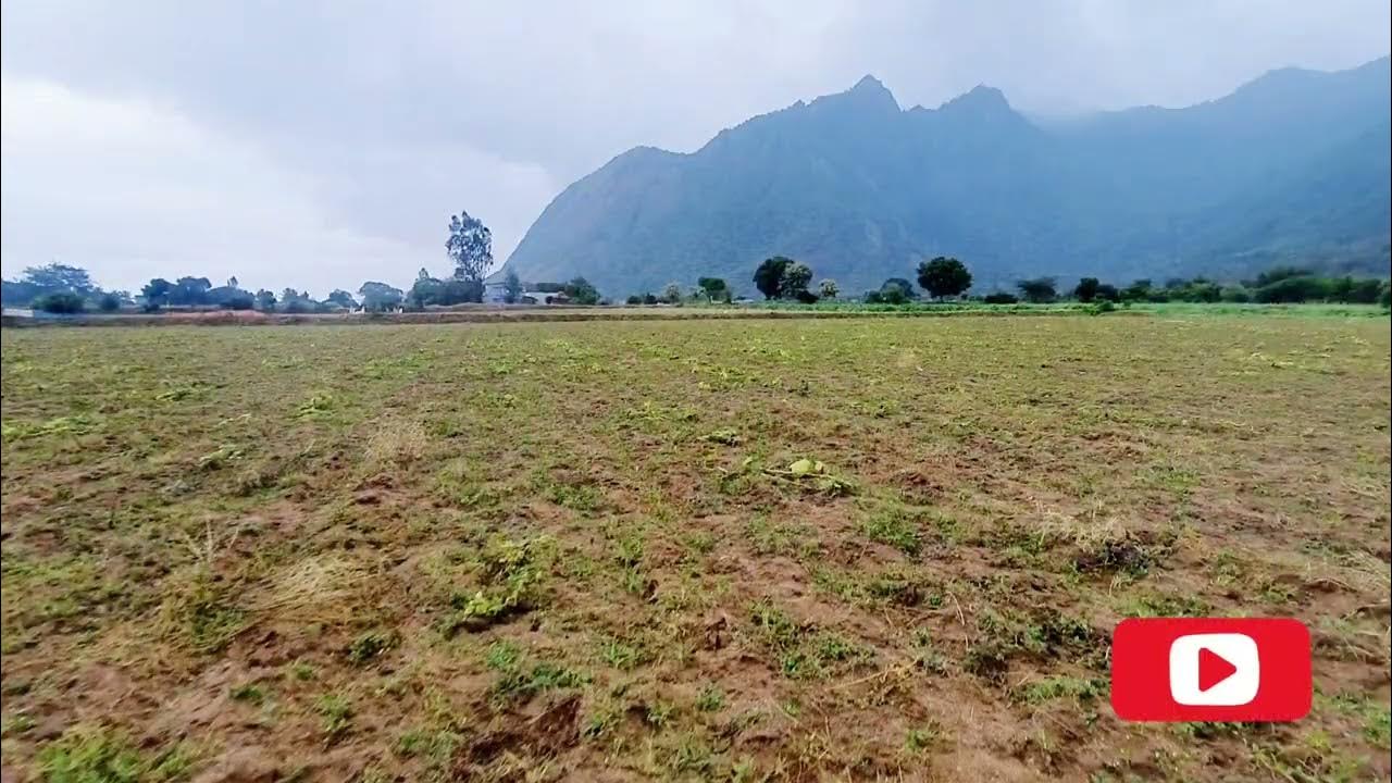 AGRICULTURAL LAND FOR SALE/COIMBATORE/ALANDURAI/NATHEGOUNDENPUDUR/86