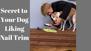 Unlock the Secret to Get Your Dog Enjoying Nail Trims