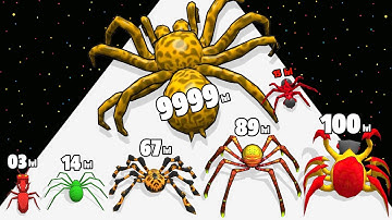 Insect Escape Run - Level Up Insect Max Level Gameplay