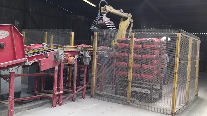 Palletizing Robot