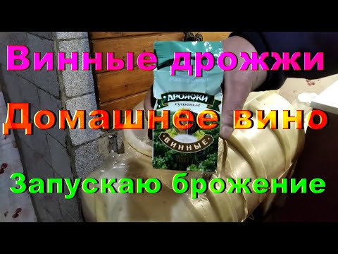 Вино в домашних условиях с дрожжами