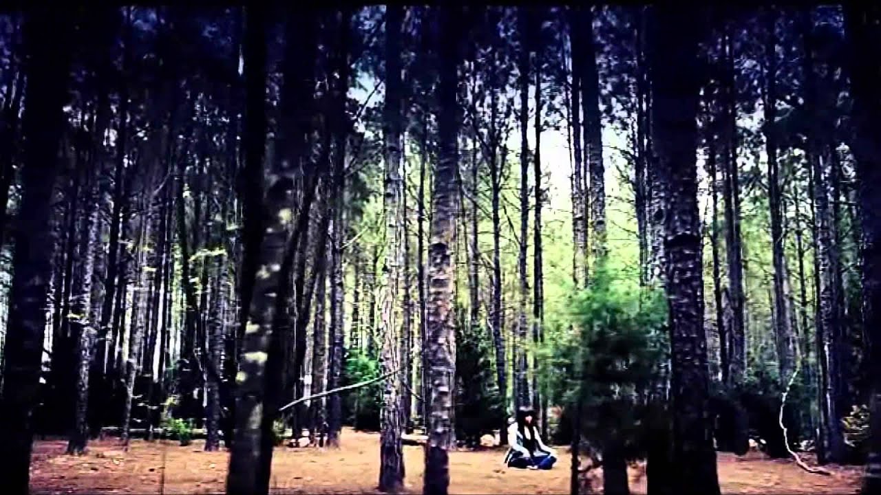 Multifandom - The Bird And The Worm