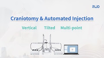 Automated Stereotaxic Instrument -- craniotomy and automated injection