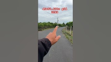 Hoa hội xuyên mộc BRVT #bbds #batdongsan #bdss #nhadep