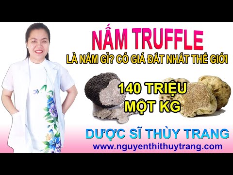 140 TRIỆU kg - Nấm truffle là nấm gì mà đắt nhất thế giới