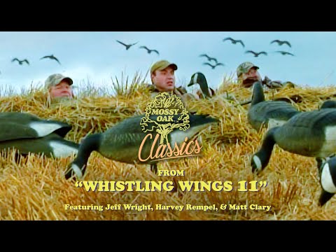 From Whistling Wings 11 w/Jeff Wright, Harvey Rempel, Matt Clary | Mossy Oak Classics