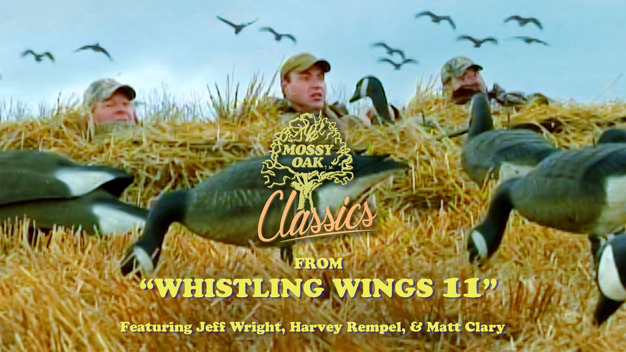 Из альбома Whistling Wings 11 с участием Джеффа Райта, Харви Ремпеля и Мэтта Клэри | Mossy Oak Cl...