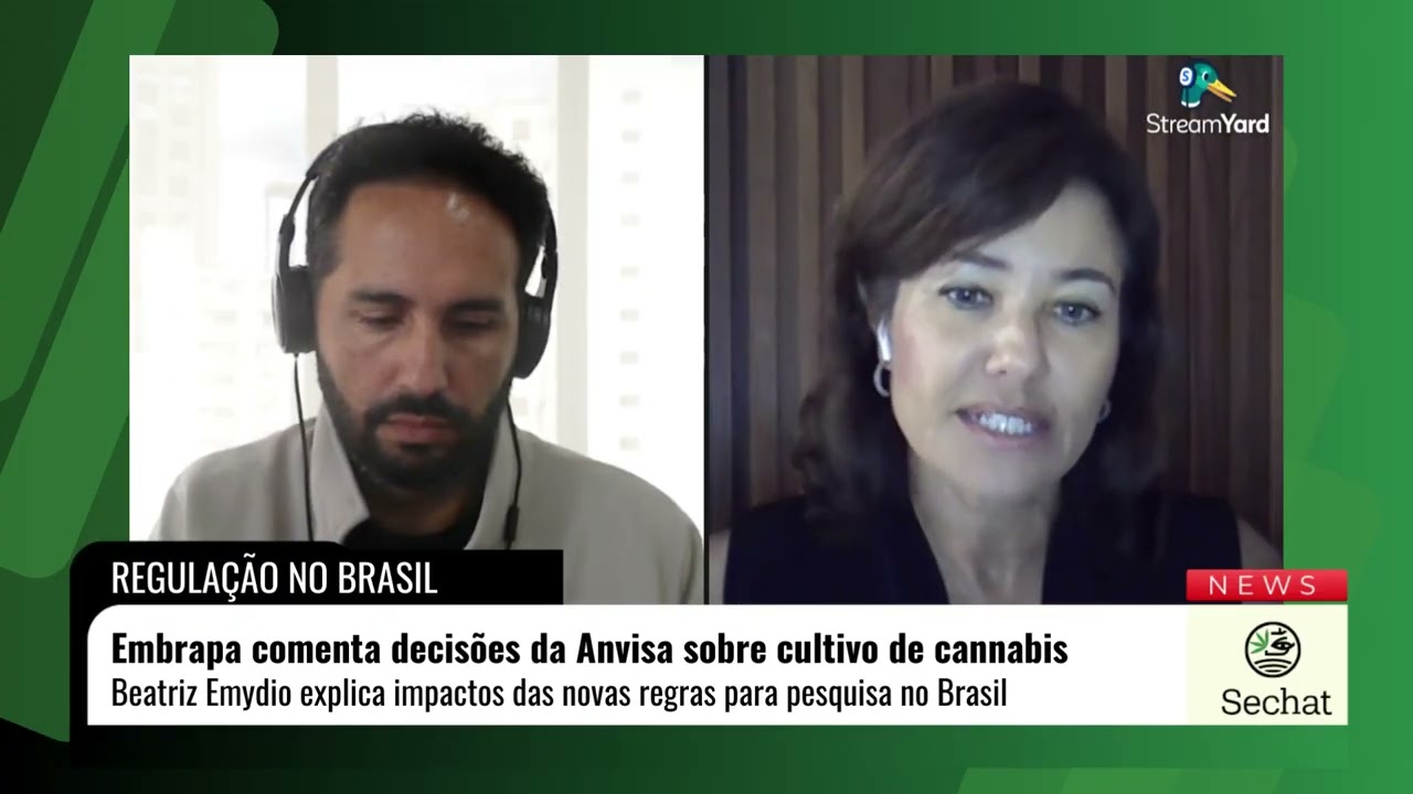 Novas decisões da Anvisa sobre cultivo e pesquisa com cannabis | Análise da Embrapa