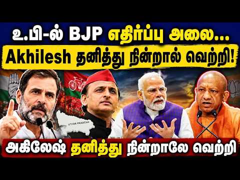 உ.பி-ல் BJP எதிர்ப்பு அலை... Akhilesh தனித்து நின்றால் வெற்றி! Rahul Gandhi | Akhilesh Yadav | BJP
