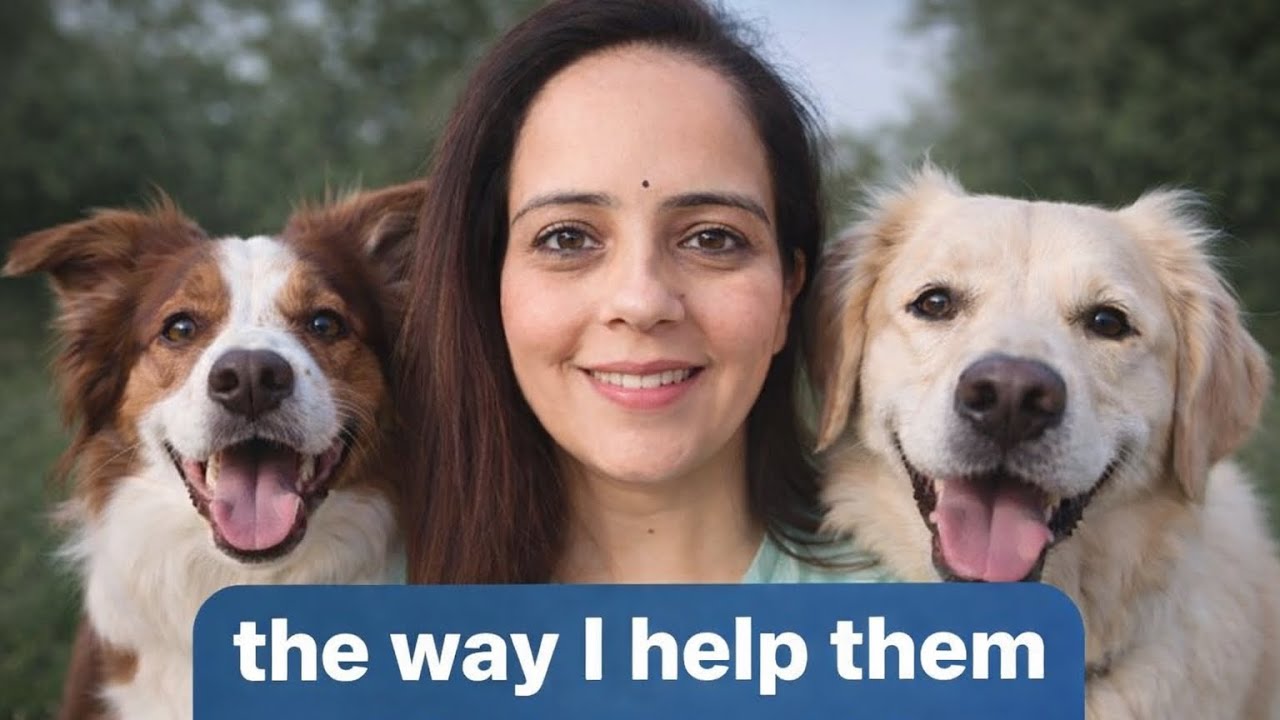 My Way of helping them🥹Day27