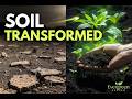 Old Farmers Knew This Soil Secret… Your Garden Is Starving Without It