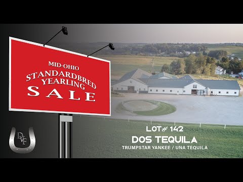 Lot# 142
