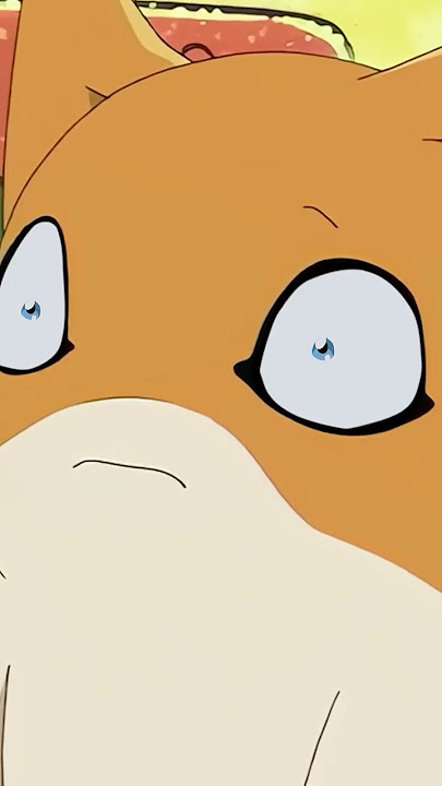 Where Babies Come From #shorts  #digimon ##digimonabridged #abridged