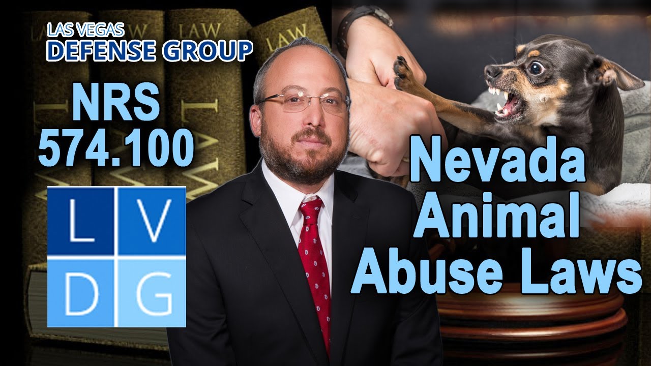 What is considered "animal abuse & neglect" in Nevada?