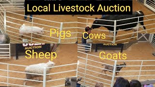 Buying and Selling at Livestock Auctions