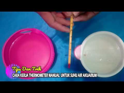 cara-kerja-thermometer-manual-untuk-suhu-air-akuarium