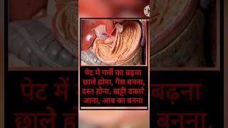 pet me garmi ke lakshan #health #stomachacidity #healthylifestyle @healthsectorwithsurajit