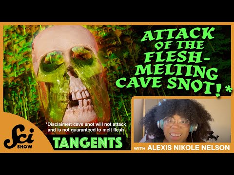 SciShow Tangents