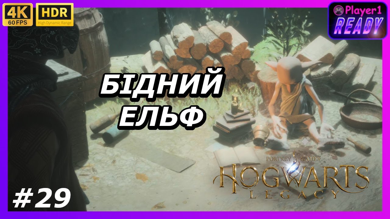 Шкода домашнього ельфа Тоббса | #29 Hogwarts Legacy | Проходження українською