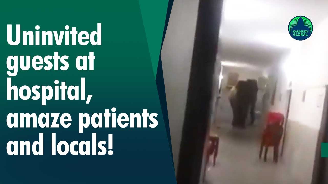 Know Who Are Those Uninvited Guests At West Bengal Hospital YouTube Know Who Are Those Uninvited Guests At West Bengal Hospital YouTube