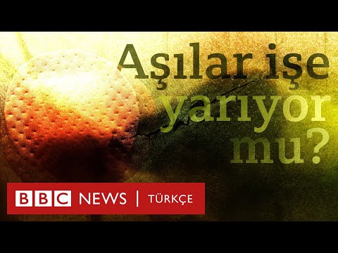 Video: Eczane Sayısı Neden Artıyor?