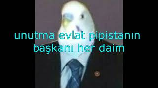 pipistan başkanı geri döndü