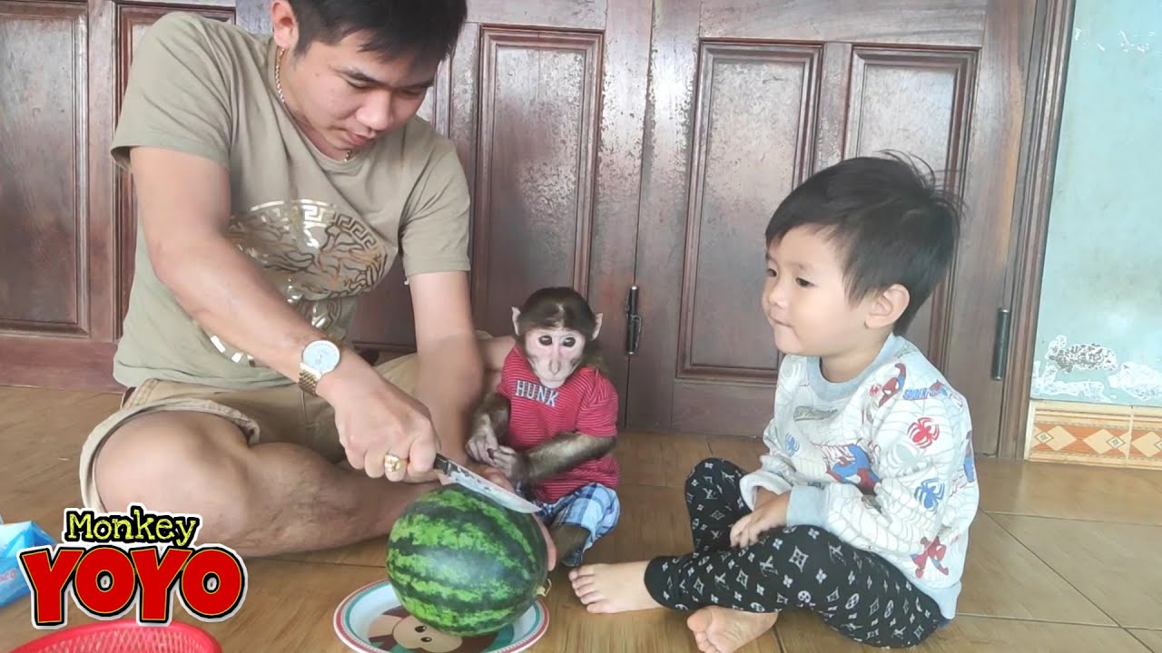 YoYo JR eats watermelon with Tin