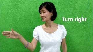 Tutorial on basic sign language: Giving directions