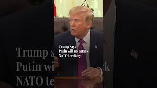Trump says Putin will not attack NATO territory