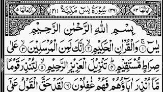 surah Yaseen l ar rahman l Daily Tilawat l Full With Arebic HD l