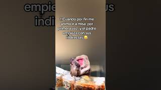 #tutorial #humor #memes #comedia #comentaycomparte #mono #monkey #fypシ #automobile #dúo #reels