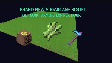 Hypixel Skyblock sugarcane script 600k Farming exp per hour Showcase