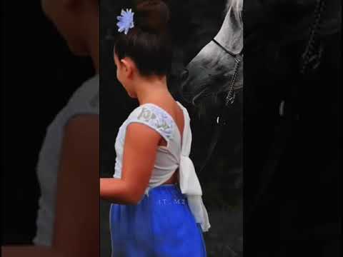 حب الخيل للانسان