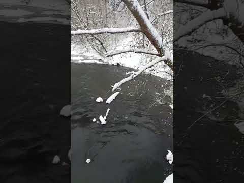 Wideo: Lopasnya (rzeka): opis i zdjęcie