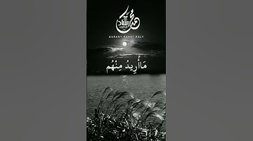 وما خلقت الجن والإنس إلا ليعبدون (56) ما أريد منهم من رزق وما أريد أن يطعمون (57) سورة الذاريات  