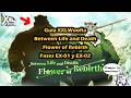 XXL WOOFIA guía Bewteen Life and Death Flower of Rebirth EX-1 & EX-2 | Tips y Mecánicas