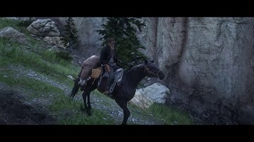 M. Night Shamallama DingDong